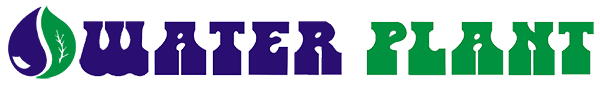 My Website
